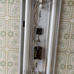 電球の画像
