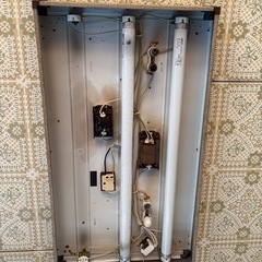 電球の画像