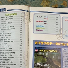 クワガタ、カブトムシ図鑑の画像