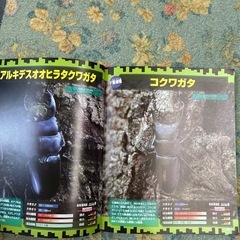 クワガタ、カブトムシ図鑑の画像