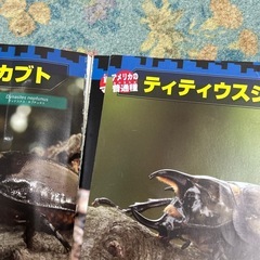 クワガタ、カブトムシ図鑑の画像