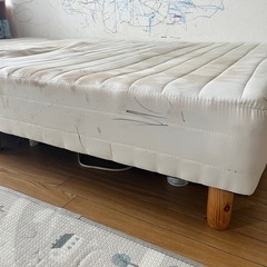 セミダブルベットの画像