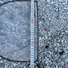 金魚　鯉　メダカ用タモ　網の画像
