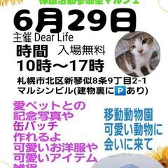 😻保護犬猫譲渡会&マルシェ😻