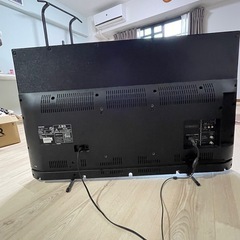 テレビの画像