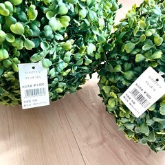 東京インテリア★特大グリーンボール ２個セット【2,780円相当】の画像