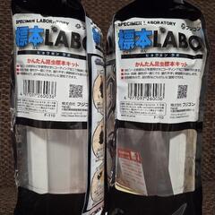 標本LABOの画像