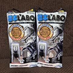 標本LABO