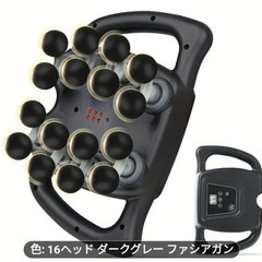電動健康器具16ヘッドの画像