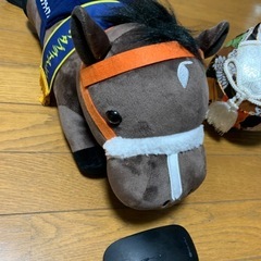 第39回有馬記念の画像