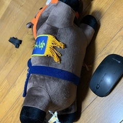 第39回有馬記念の画像