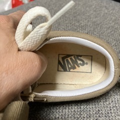 バンズスニーカーの画像
