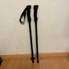 トレッキングポール2本