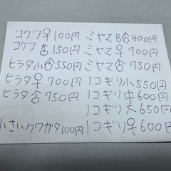 【クワガタ販売】﻿国産クワガタ 各種販売開始 1匹100円～ の画像
