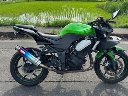kawasaki NINJA 250(事故車)愛知県一宮市
