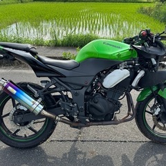 kawasaki NINJA 250(事故車)愛知県一宮市の画像