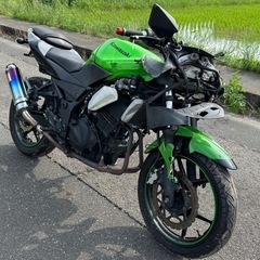kawasaki NINJA 250(事故車)愛知県一宮市の画像