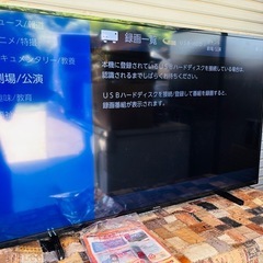 2024年製 50インチテレビ 美品