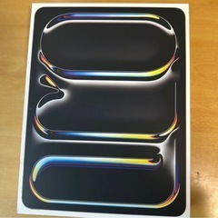 早い者勝ち！Apple iPad Pro M4（2024年モデル...