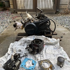 NS-1 の画像