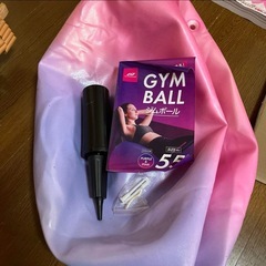 GYM BALL ジムボール 55cm パープル & ピンクの画像