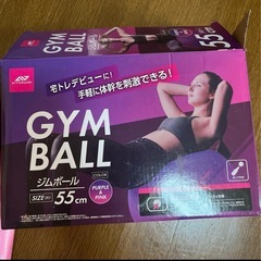 GYM BALL ジムボール 55cm パープル & ピンクの画像