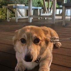 フィットネスコミュニティ！！！
