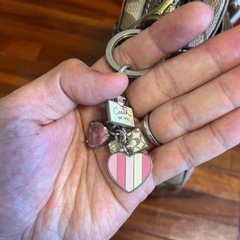COACH　コーチ　ショルダーバッグ　ブラウン　ストライプ　鞄の画像