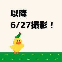 サンスベリア　多肉植物の画像