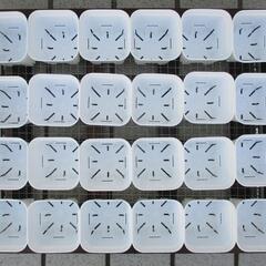 ６段トレー　多肉植物棚　木製プランター　多肉棚　トレー　アガベ　斑入り　韓国苗　多肉の画像