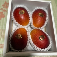 収穫終わりました。の画像