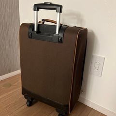 機内持ち込み　スーツケース pujolsの画像