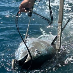 マグロ釣りG - メンバー募集