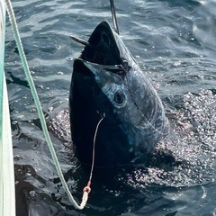 マグロ釣りG - 友達