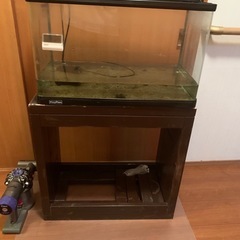 値下げ　水槽セット　60センチ　上部濾過付き