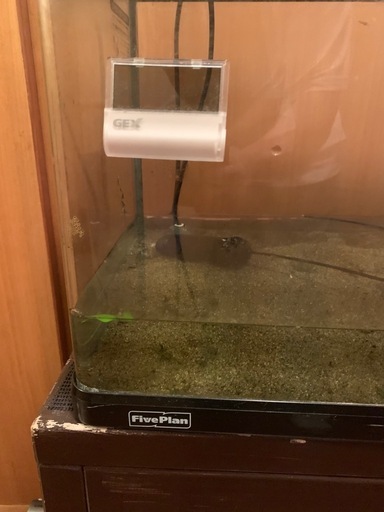 値下げ　水槽セット　60センチ　上部濾過付き