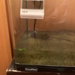 値下げ　水槽セット　60センチ　上部濾過付きの画像