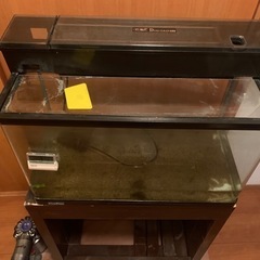 値下げ　水槽セット　60センチ　上部濾過付きの画像