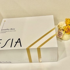 【新品未開封】ジュエリーボックス アクセサリー収納ケース 収納ボックス 収納ポーチ イヤリング ピアス ネックレス ブレスレット 時計 ウォッチ リング 指輪 小物入れ コンパクト の画像