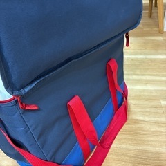 コストコ保冷バッグの画像