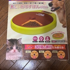 ドギーマンの楽しいおるすばんボウル