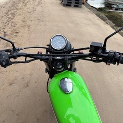 250trの画像
