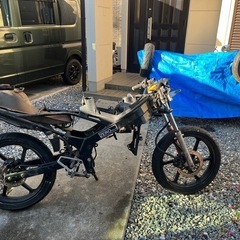 NS-1 の画像