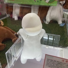 クレーンゲーム好きな方