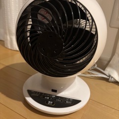 サーキュレーター　アイリスオーヤマ【1週間限定】