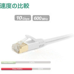 LANケーブル　10mの画像