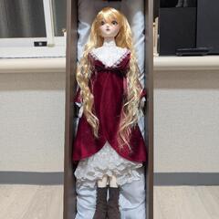 スーパードルフィー（フルチョイス）