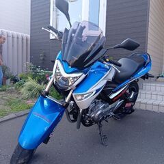 スズキ　GSR250   カラー　白青【代理出品】