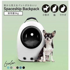 ペットキャリーリュックの画像