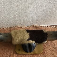 水牛の角（その1） オブジェ 置物